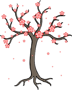 Cherry blossoms