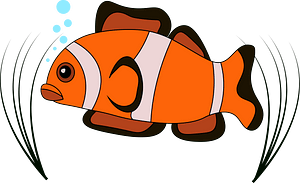 Clown fish