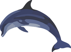 Dolphin
