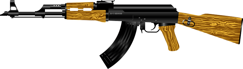 Gun