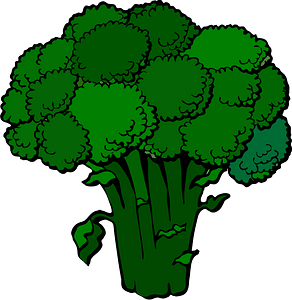 Broccoli