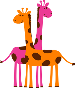 Giraffes