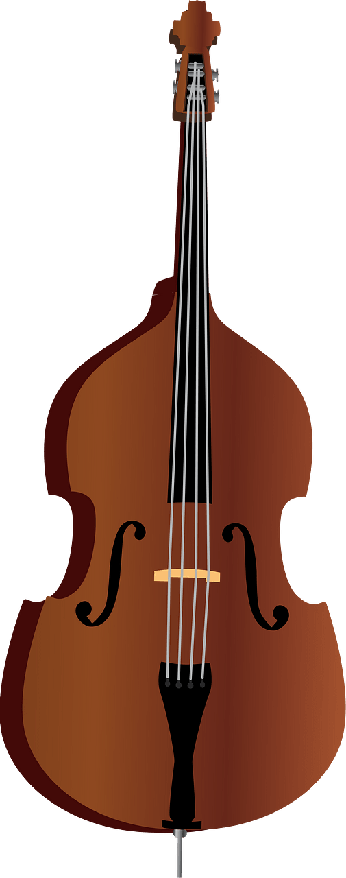 Double bass