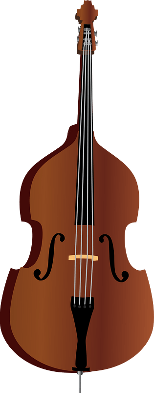 Double bass