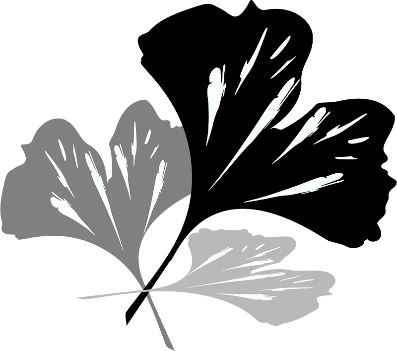 Ginko
