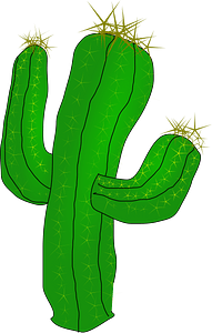 Cactus