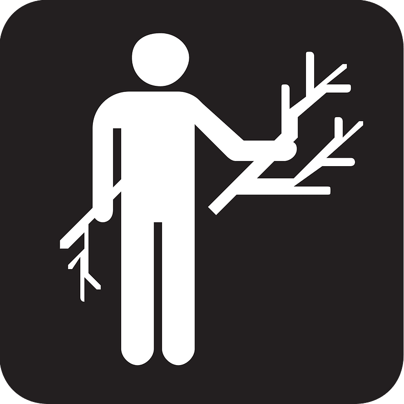 Twigs