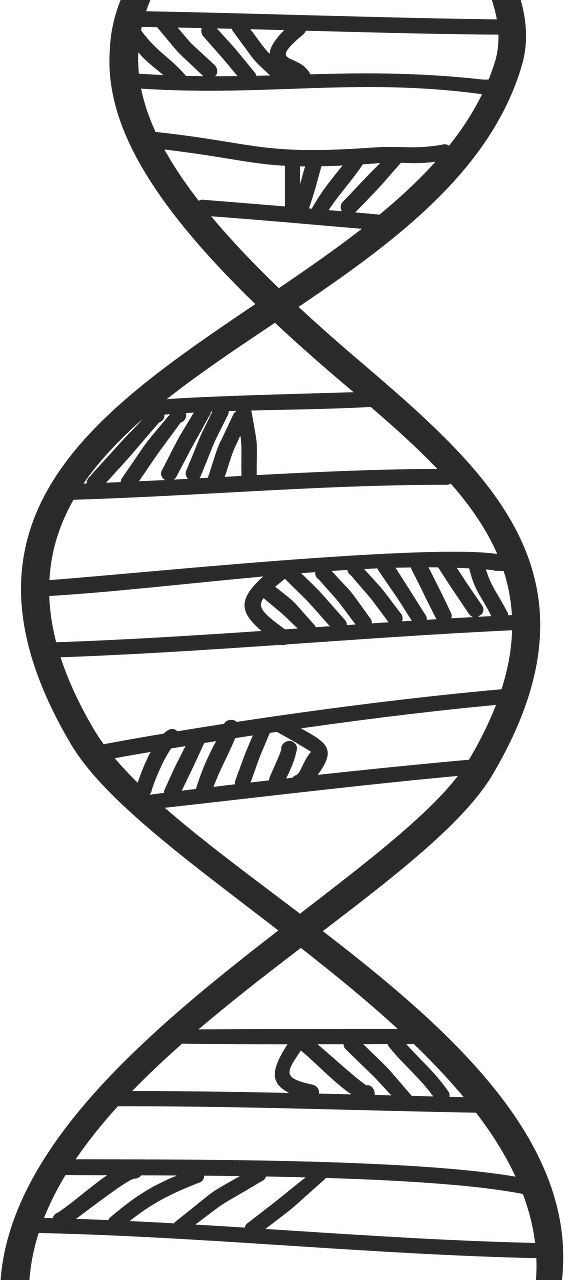 Deoksyrybonukleinowe acid