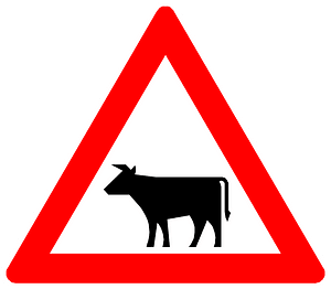 Traffic