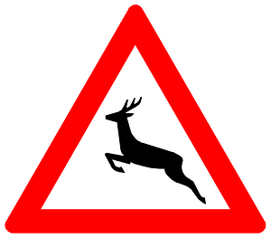 Traffic