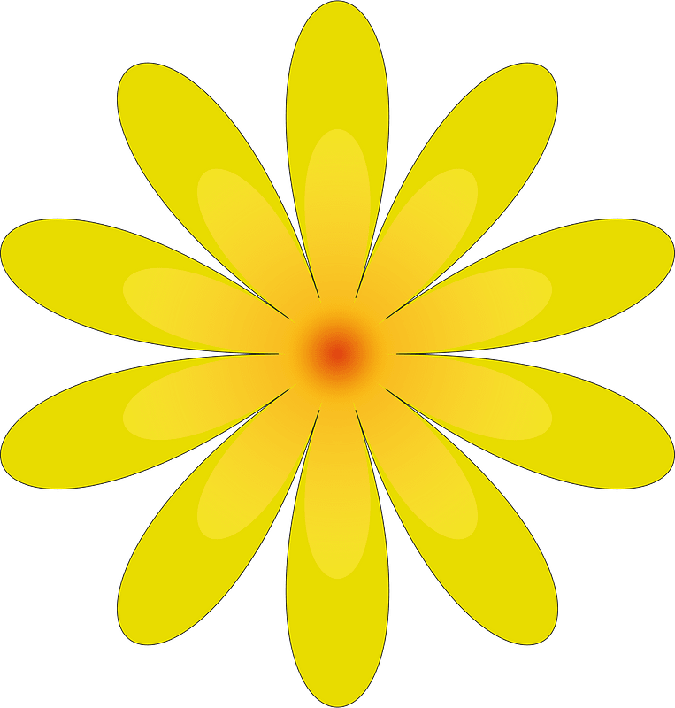 Квіти