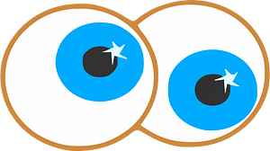 Eyes