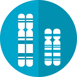 Chromosomes