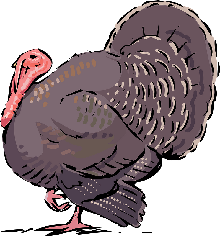 Turkey