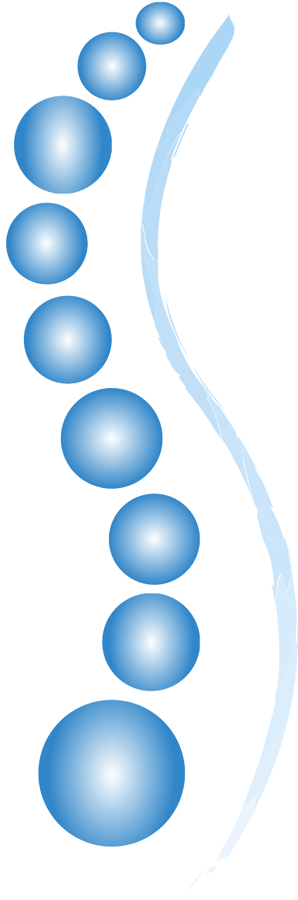 Spine