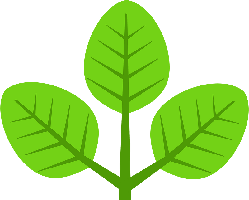 Leaf