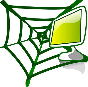 Web