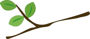 Tree branch