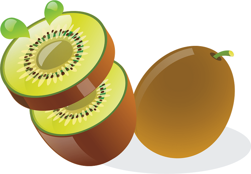 Actinidia deliciosa