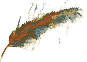 Feather