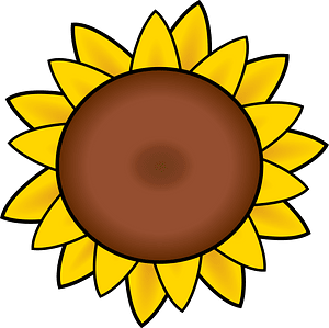 Girasol