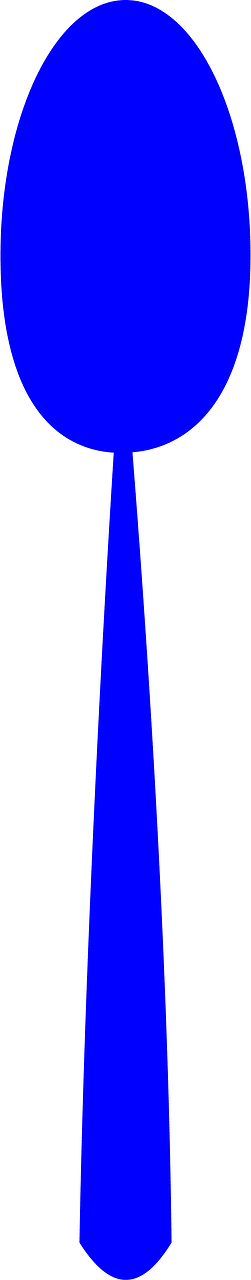 匙