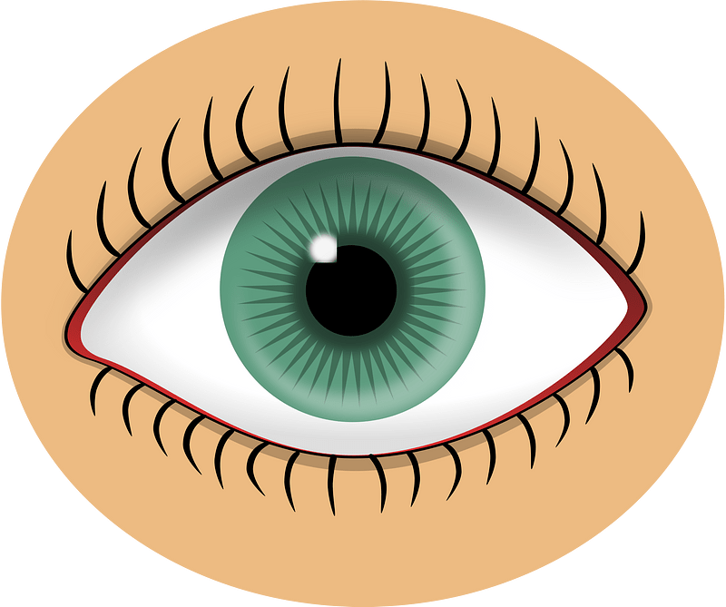 Eye
