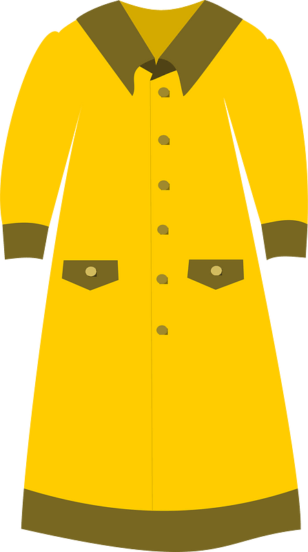 Long dress