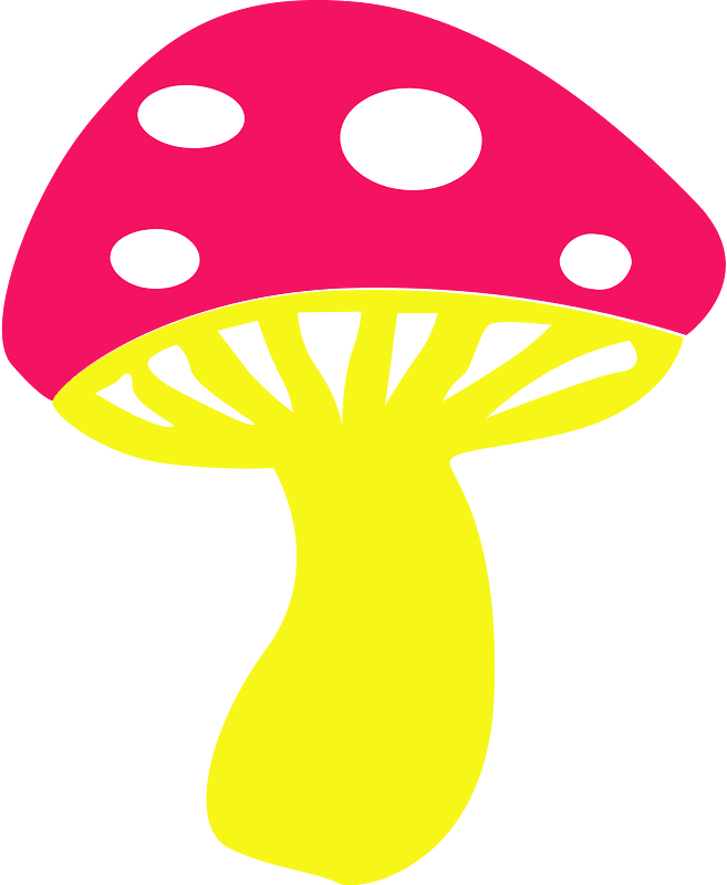 Mushroom
