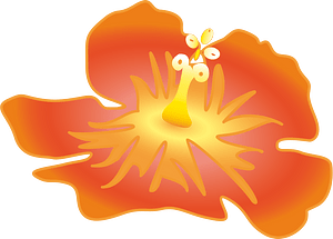 芙蓉
