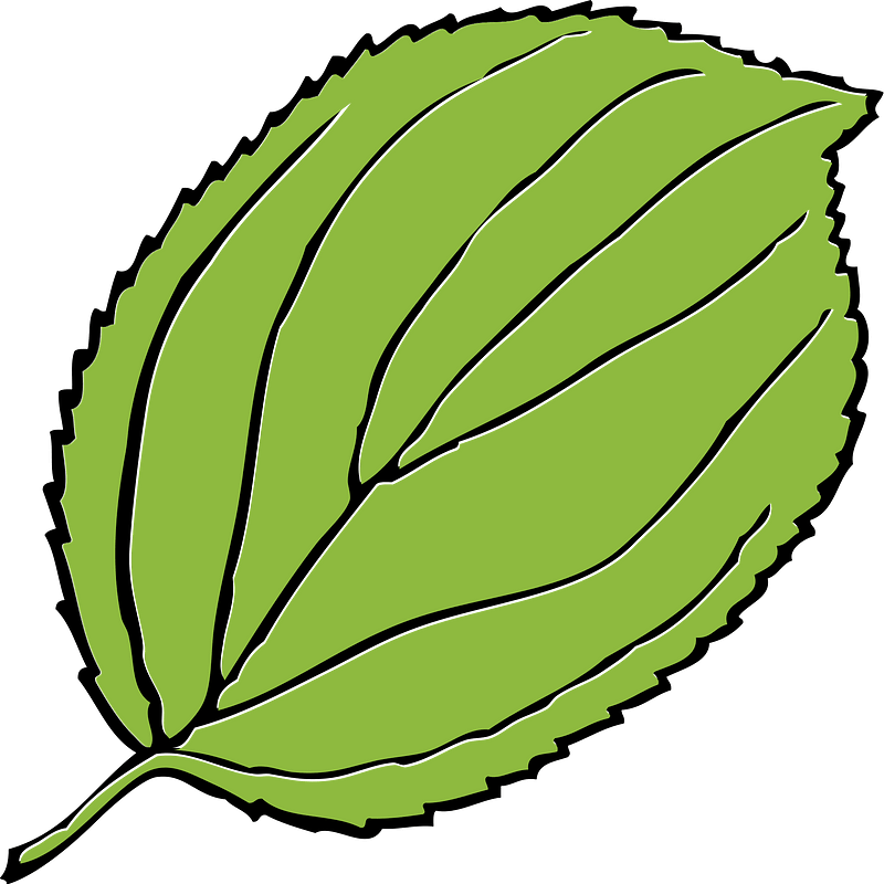 Яблуко