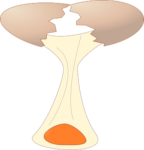 Egg