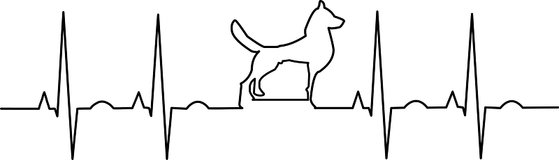 Ekg