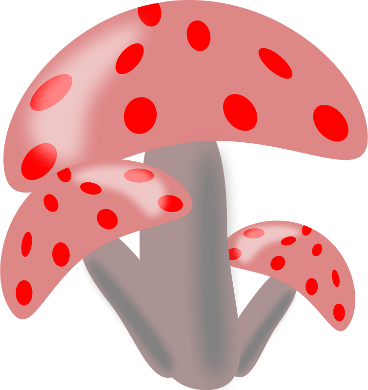 Mushrooms
