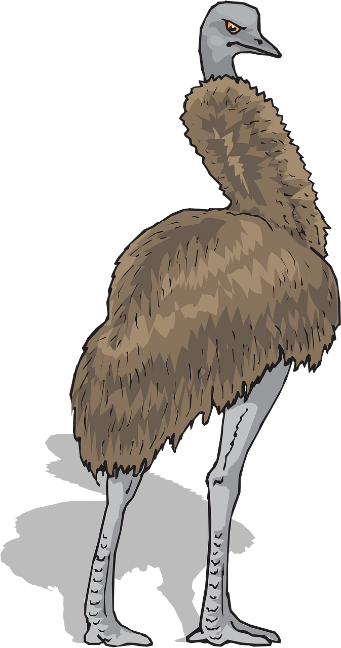Emu