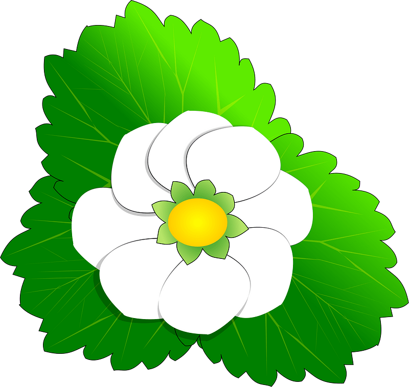 꽃