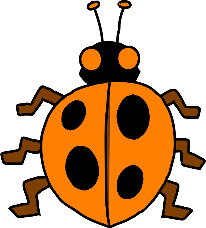Kepik