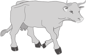 Cow