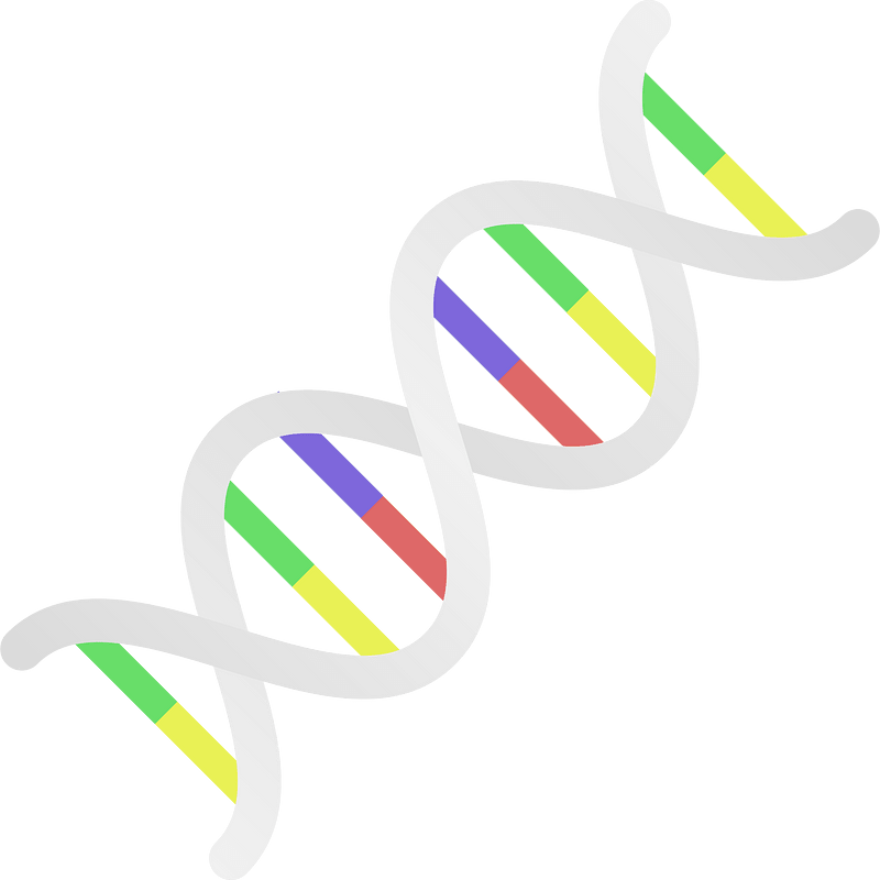 Dna