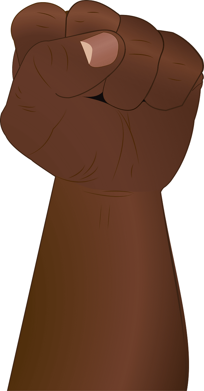 Fist