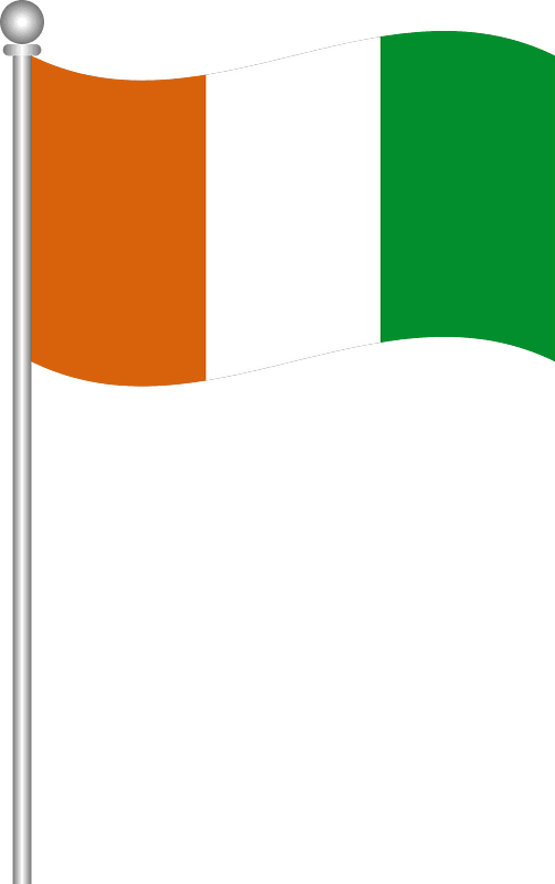 Flag of pakistan