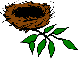 Bird nest