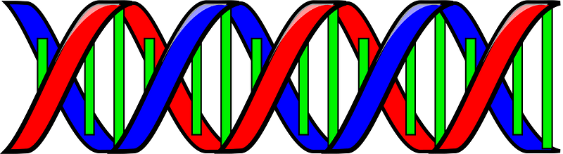 Dna