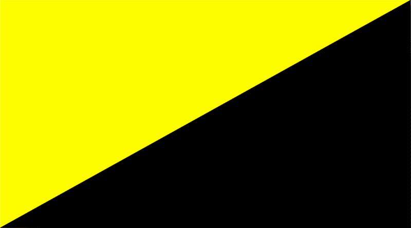 Anarcho-capitalism