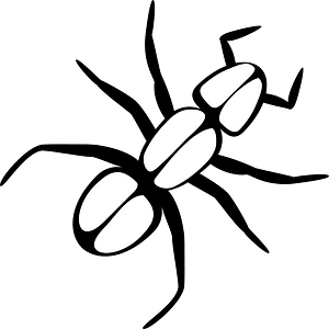 Ant