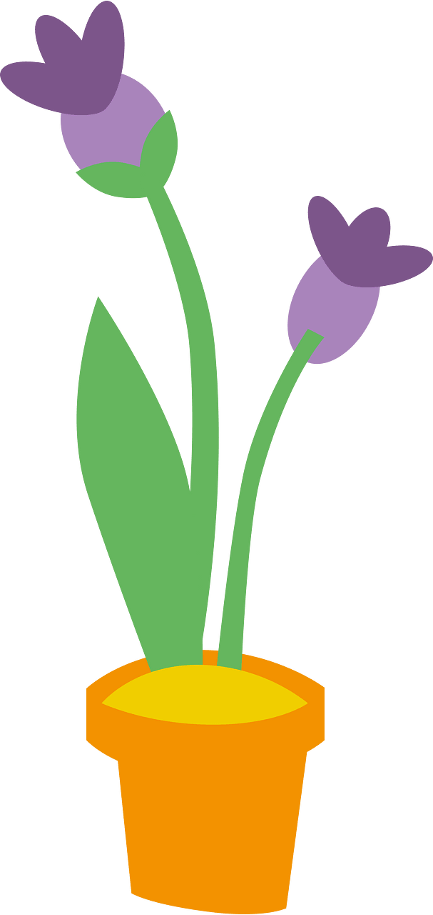 春季