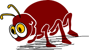 Bug