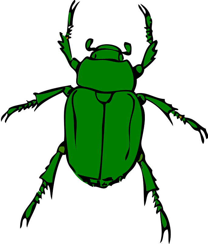 Kumbang