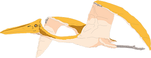 Flying pterodactyl, predator animal of the prehistoric period
