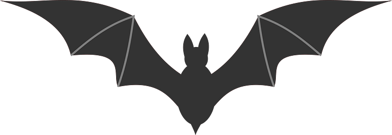 Bat
